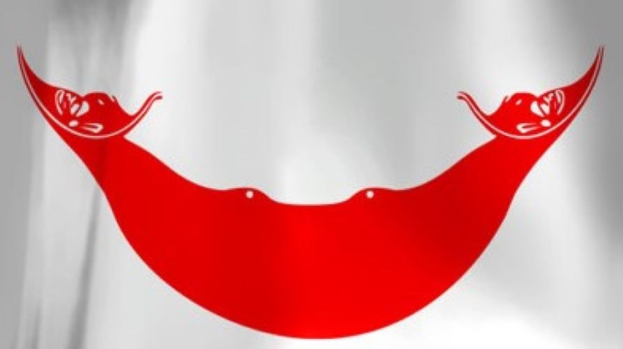 drapIledepaque